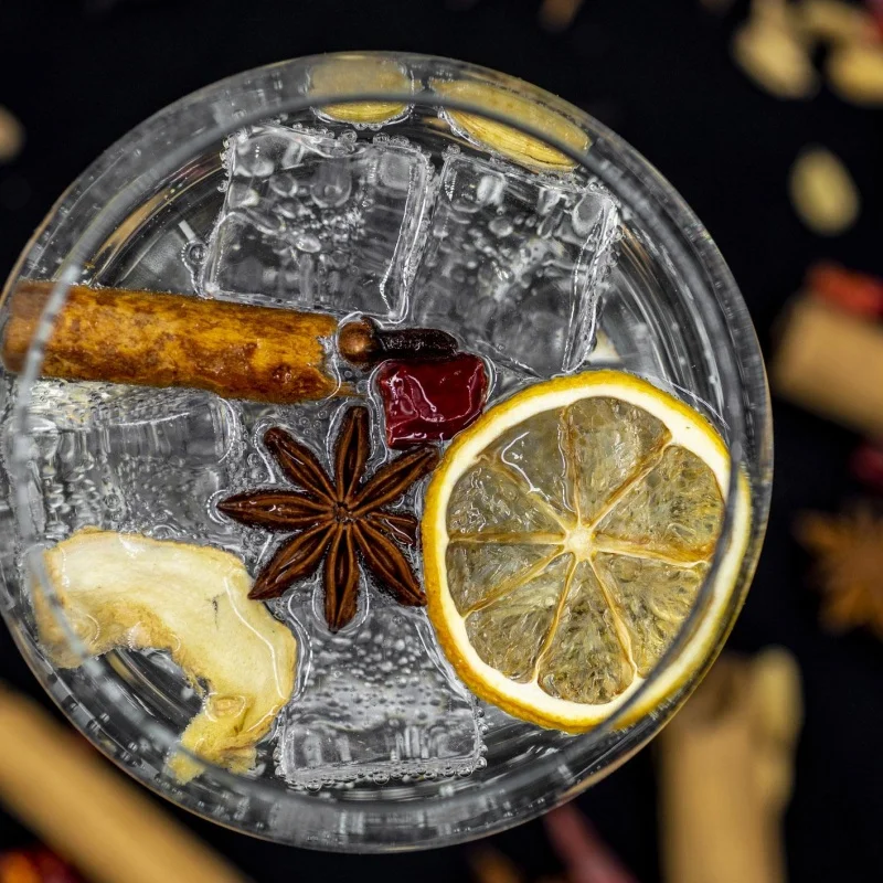 Frutas desidratadas para drinks