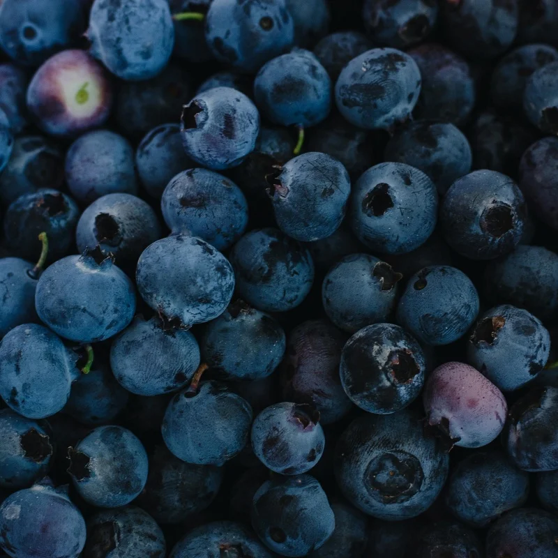 Frutas naturais para suco