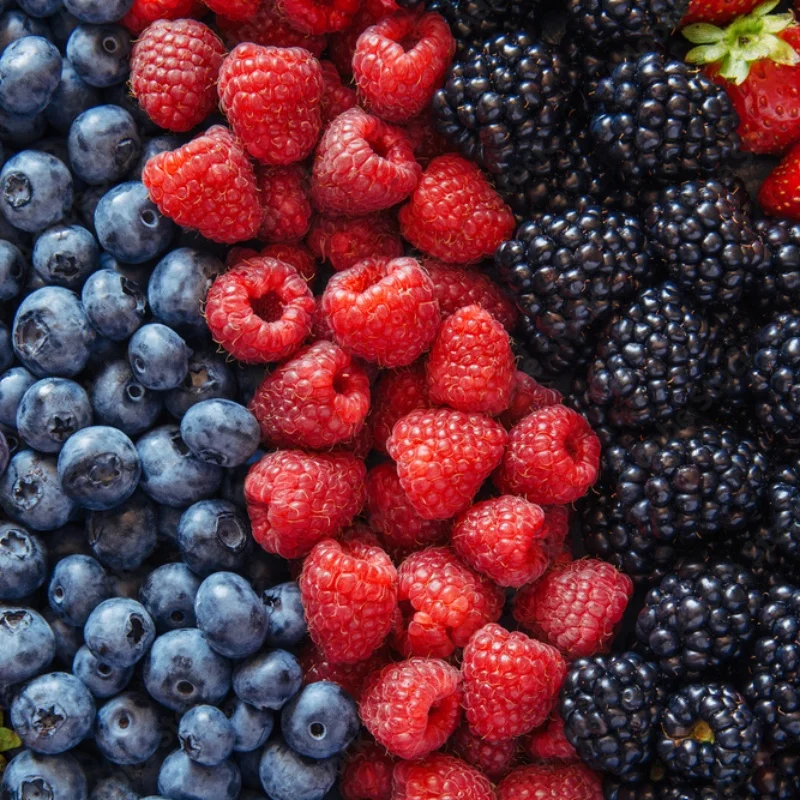 Frutas vermelhas orgânicas