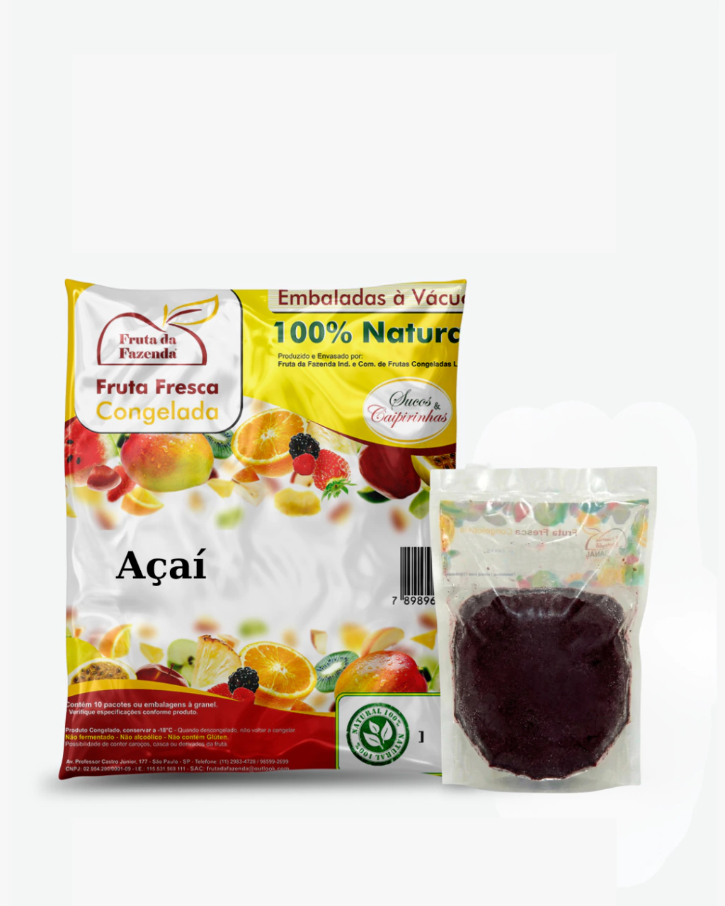 Açaí Congelado - Fracionado (10 pacotes de 100gr)